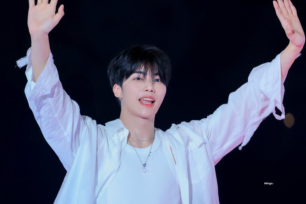 𝑾𝒊𝒏𝒈𝒔. tweet media