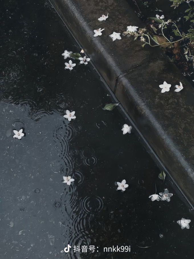 𝑟𝑎𝑖𝑛𝑦 𝑑𝑎𝑦.🖤