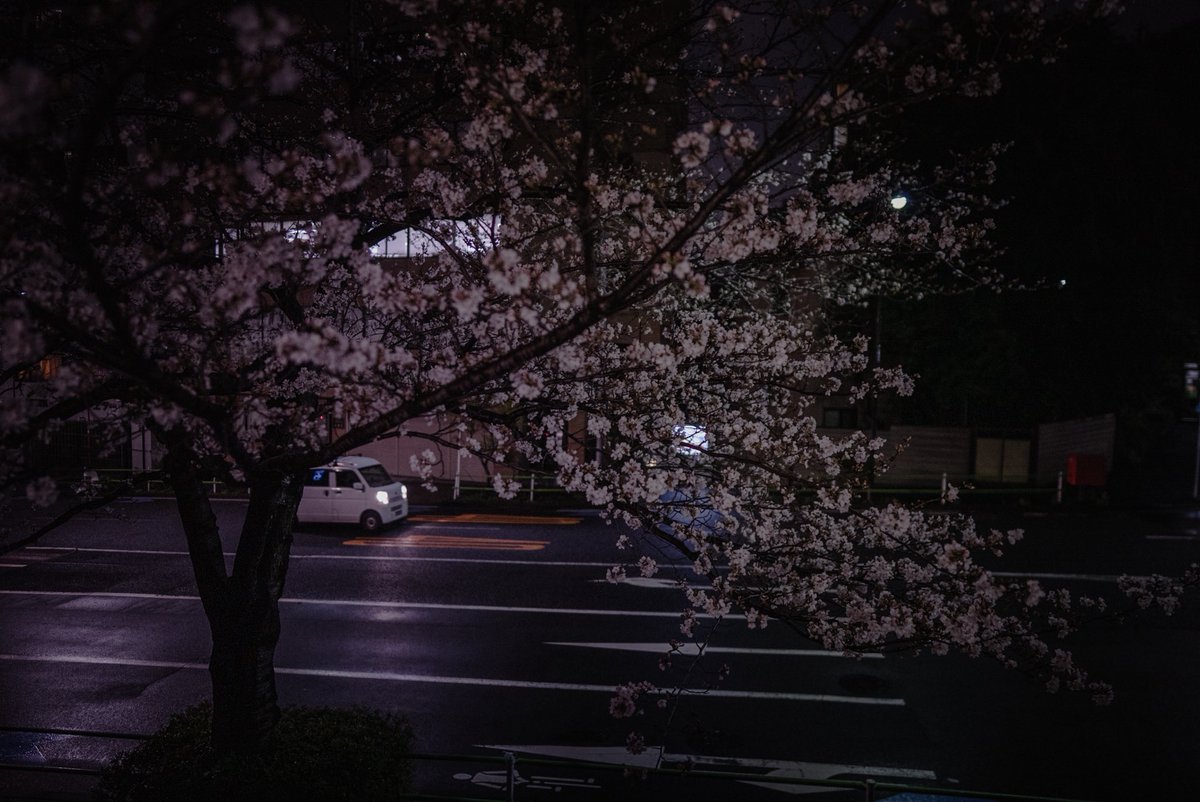 teemusphoto's tweet photo. photos from my last time in tokyo https://t.co/9OqHd9r4Sc