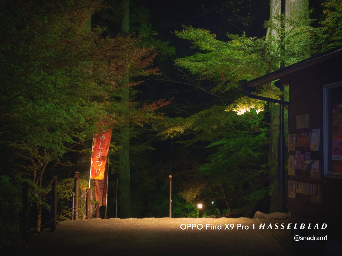 snadraM1's tweet photo. OPPO Find X9 Pro 
Raw Max で撮影した写真を
Lightroom で現像 https://t.co/WfaHvldaLj