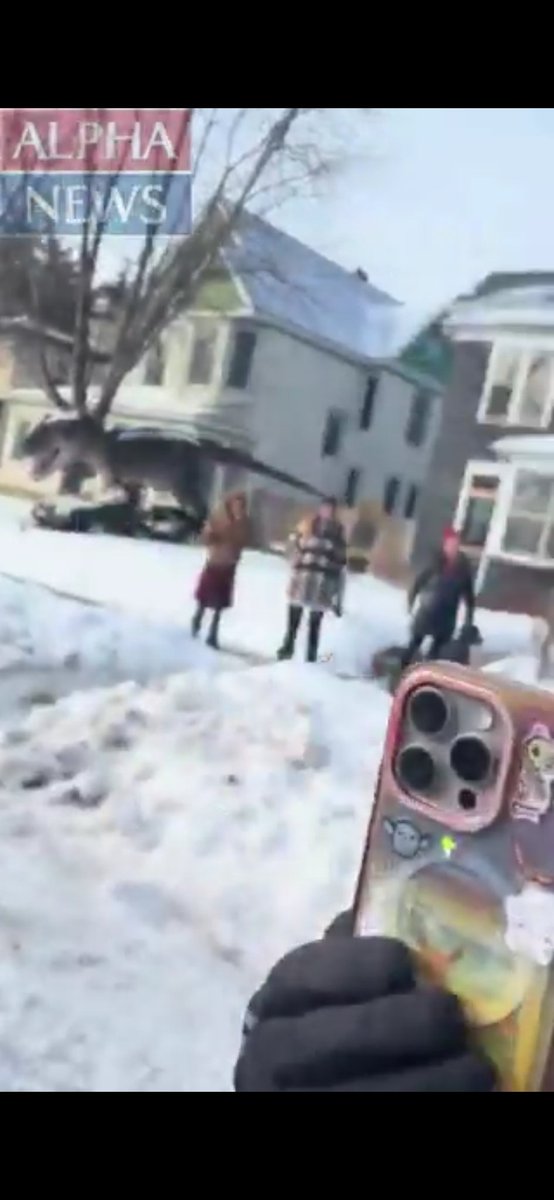 Jane Heathley tweet media