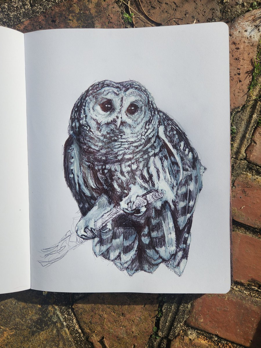 Sarah 'Dangerwood' Rose tweet media