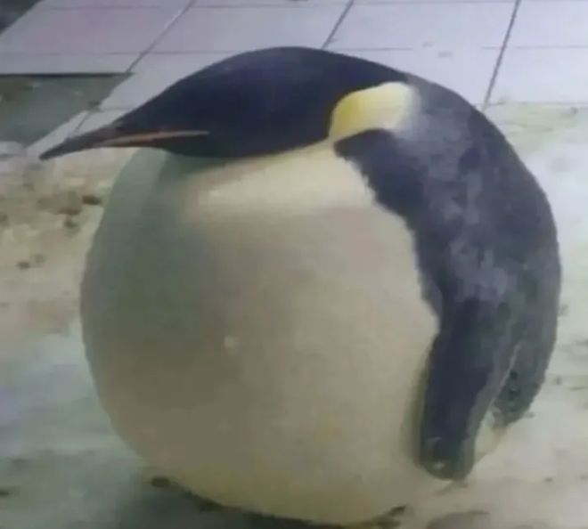 _winds7's tweet image. ยิ่งพูดยิ่งมา