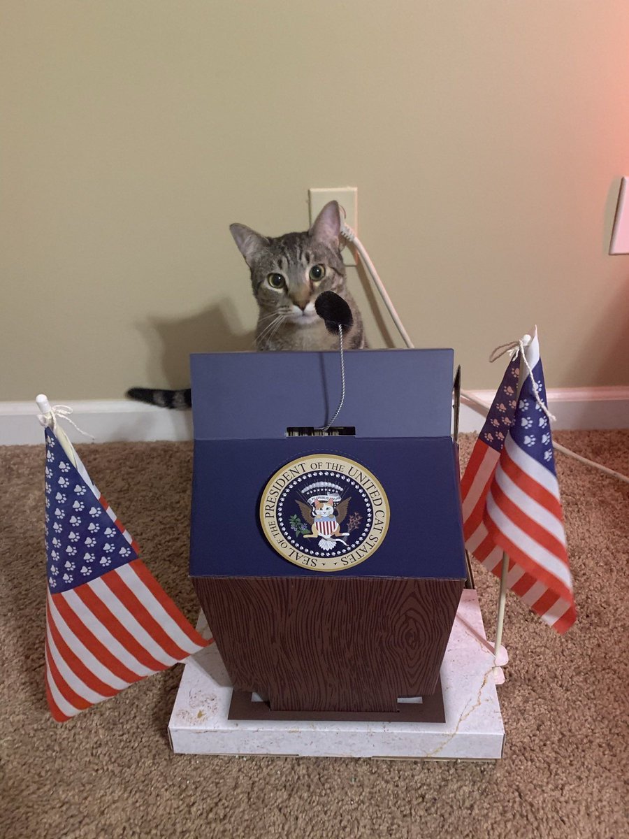 CatWorkers's tweet image. Would you vote for him?