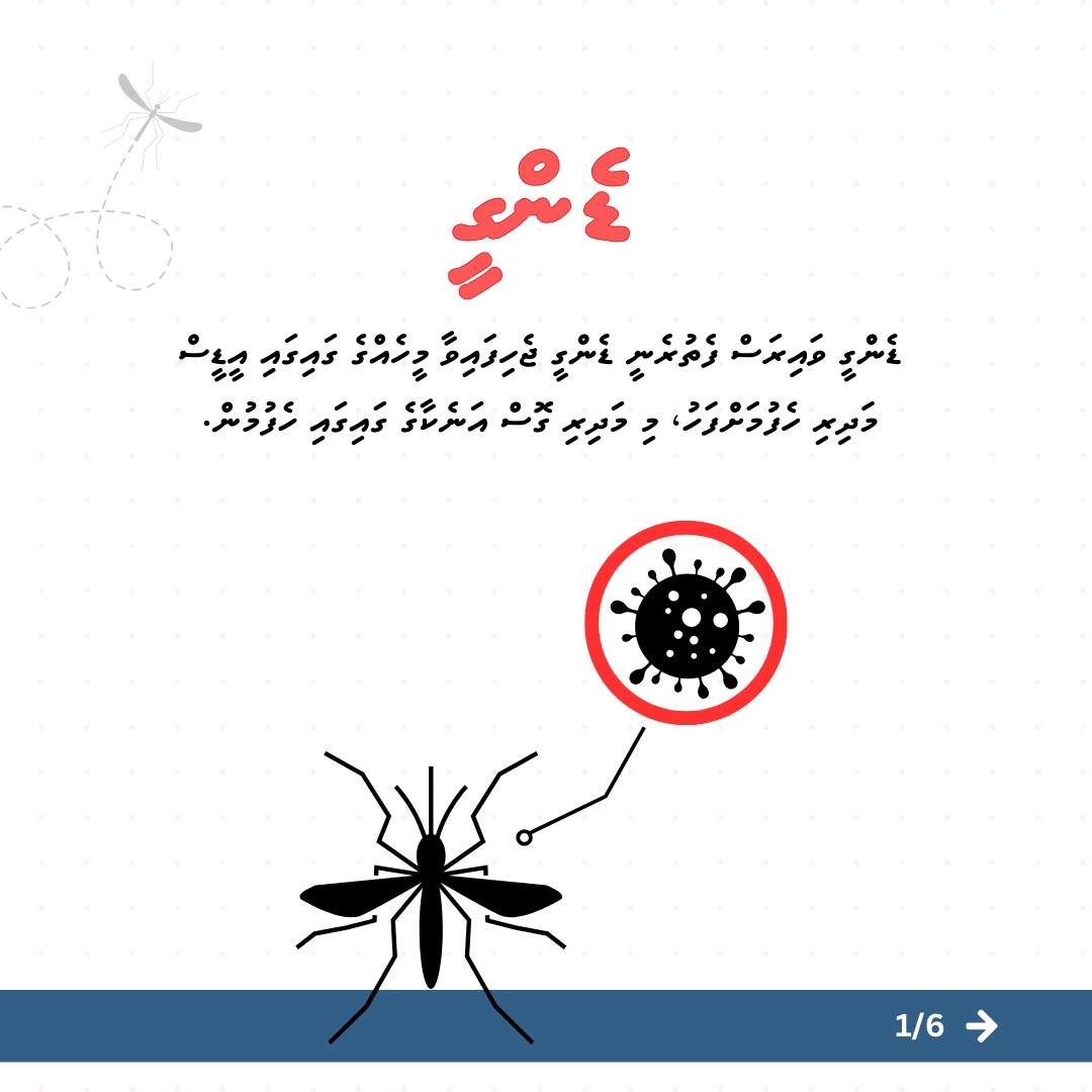 HPA_MV's tweet image. Protect yourself with #BitePrevention.
Eliminate mosquito breeding sites and empty water-holding containers weekly.
Feeling unwell? Rest, stay hydrated, and seek medical care if symptoms worsen.

Stay safe, stay dengue-free.
#DenguePrevention

 #StaySafe #MosquitoControl