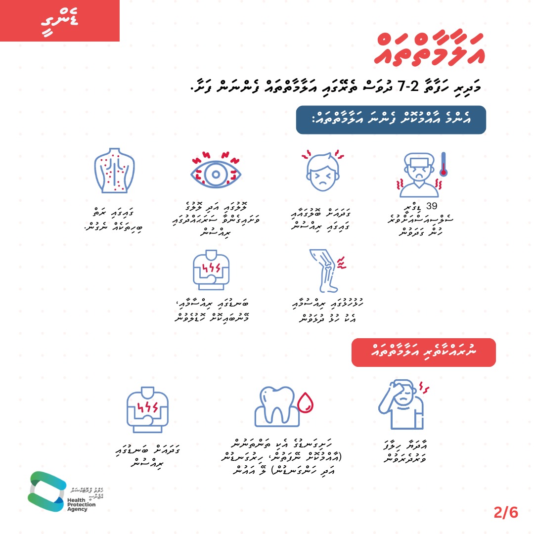 HPA_MV's tweet image. Protect yourself with #BitePrevention.
Eliminate mosquito breeding sites and empty water-holding containers weekly.
Feeling unwell? Rest, stay hydrated, and seek medical care if symptoms worsen.

Stay safe, stay dengue-free.
#DenguePrevention

 #StaySafe #MosquitoControl