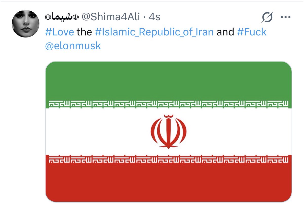 Shima4Ali's tweet image. #Love the #Islamic_Republic_of_Iran and #Fuck 
@elonmusk