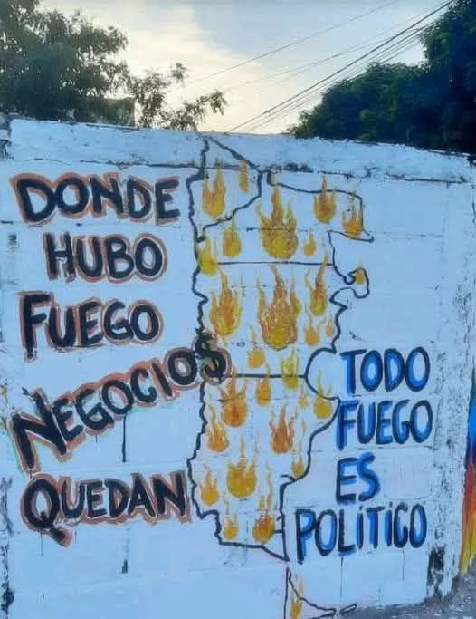 Angie16Nutto's tweet image. Queman las tierras exprofeso para abaratarlas y venderselas a sus amigotes. Milei bajó el presupuesto de combate de incendios casi un 80%.