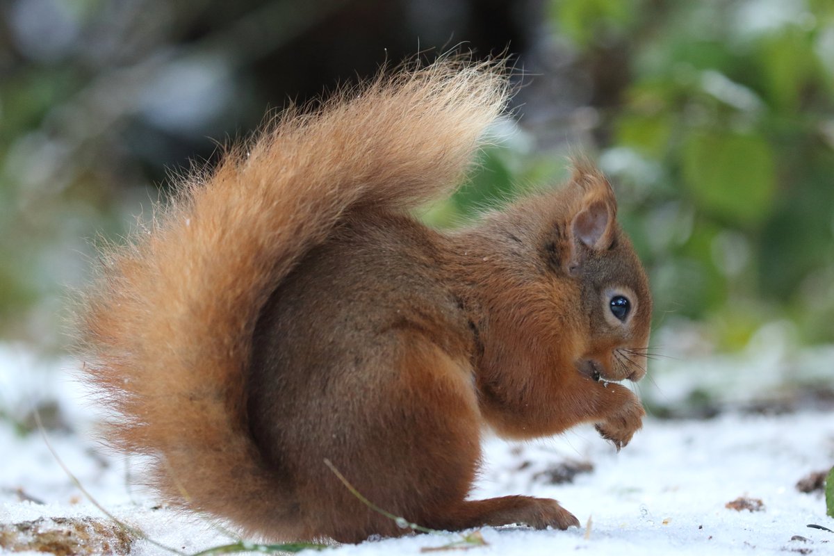 Andy Lawson tweet media