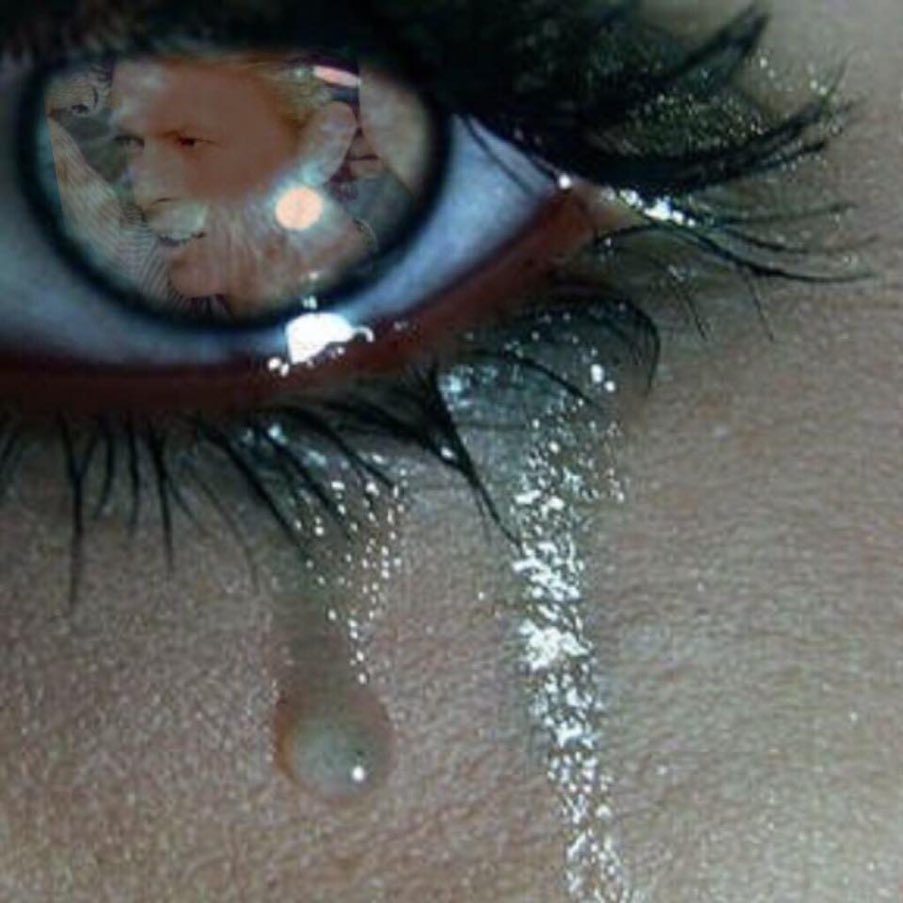 Lynn Spina tweet media