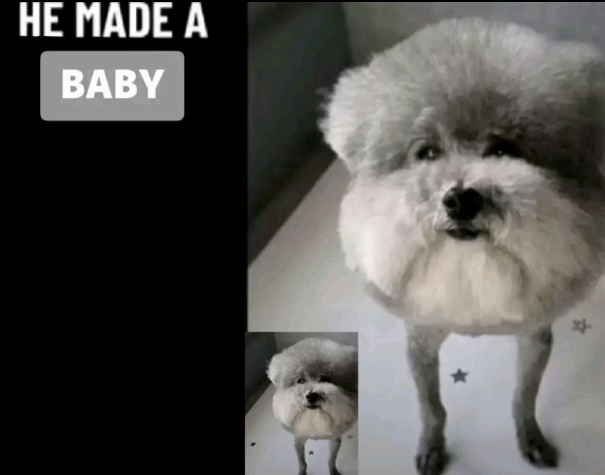 _cuntasaurus's tweet image. Does anyone have any more variants of this image im begging