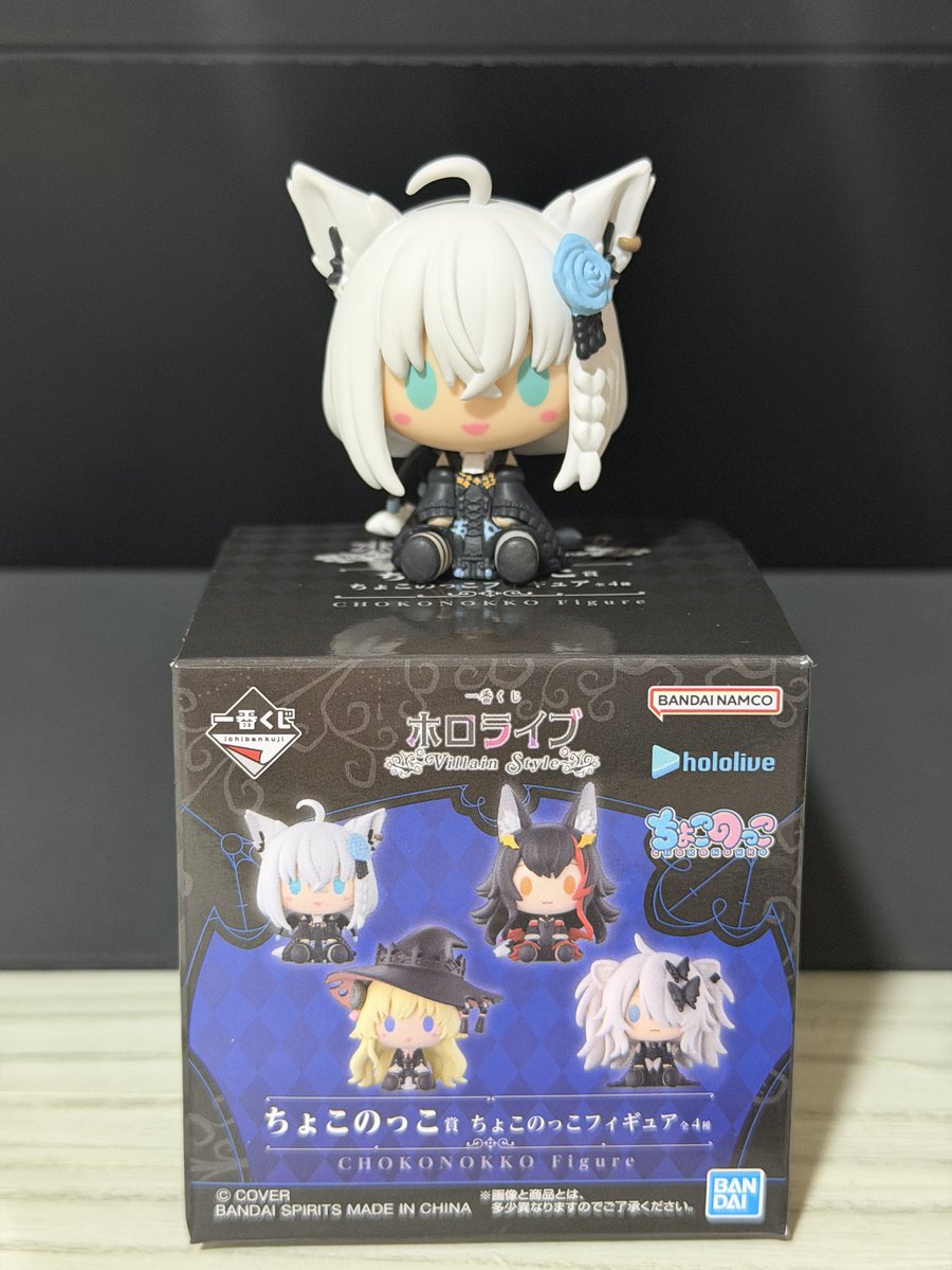 ぶーちゃん ぶーちゃん10月21日をもちまして20歳になりました💞✨