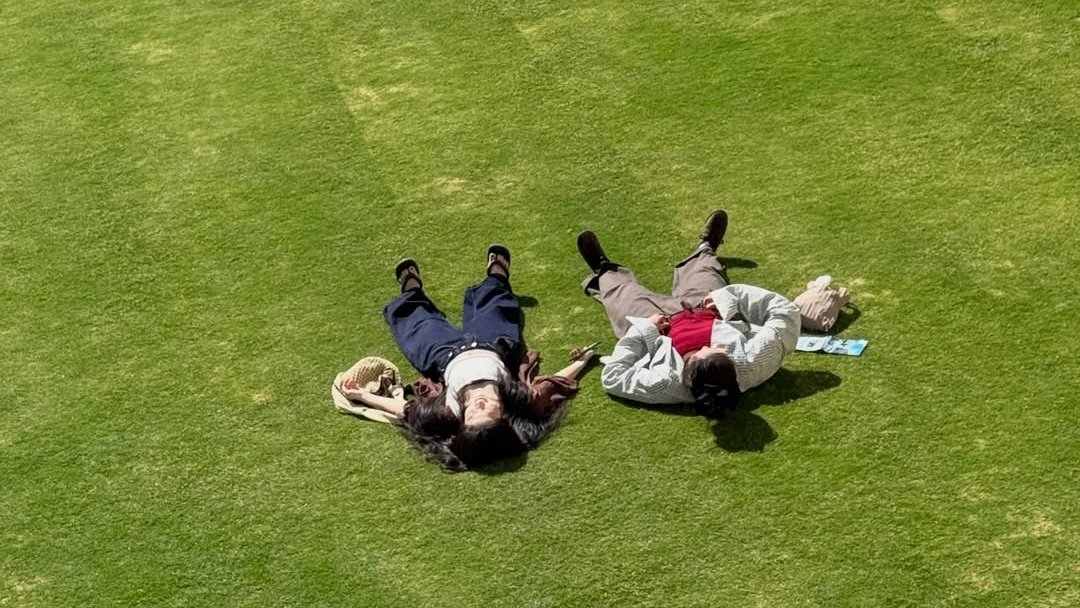 seolyeon's tweet image. 자, 풀 좀 만져 보세요.