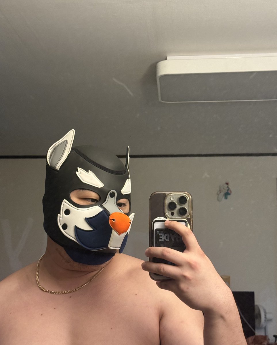 yu茶 Suisouen Tamba Black Soybean Tea Caffeine-Free Kuromamecha 20 Tea Bags