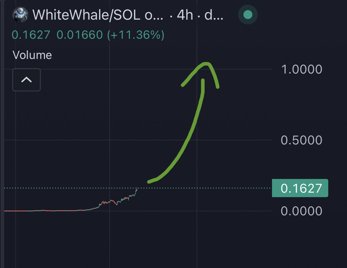 This is just getting started $WHITEWHALE 1B soon