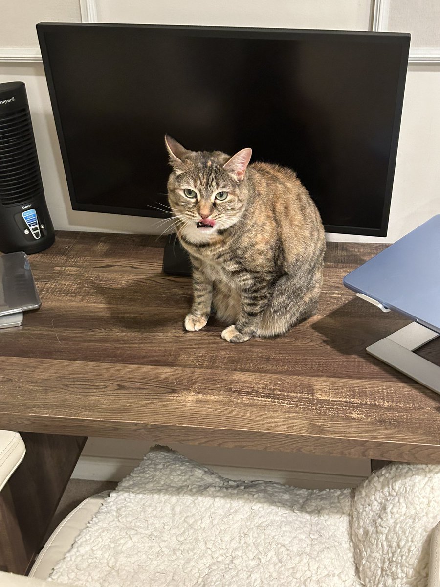 capkraz's tweet image. Don’t look at me like that