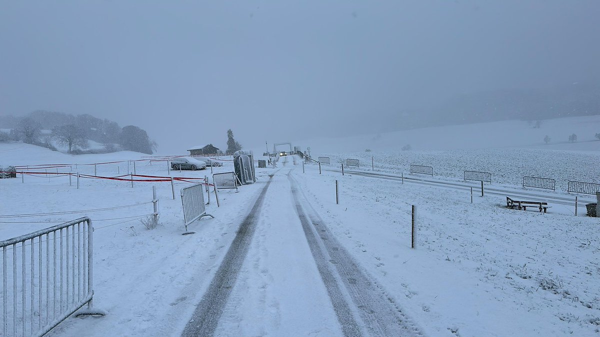 Christian Rocha tweet media