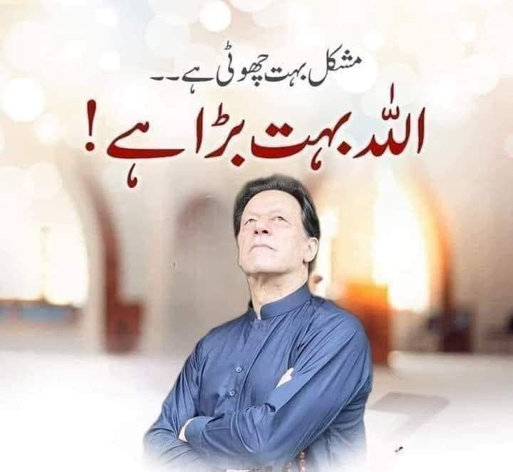 Pti_promotion tweet media