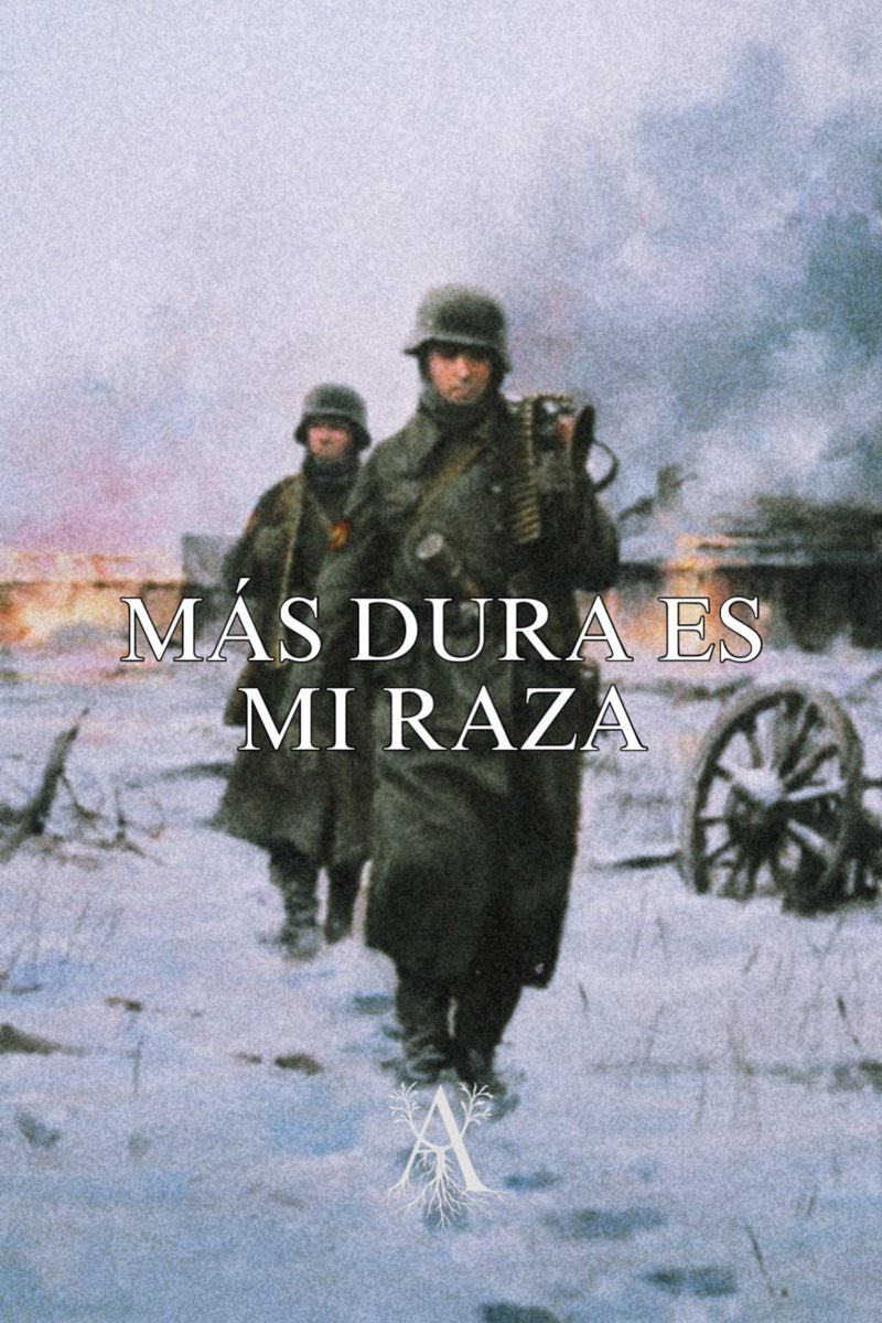 ARRAIGO (@arraigo__) on Twitter photo 