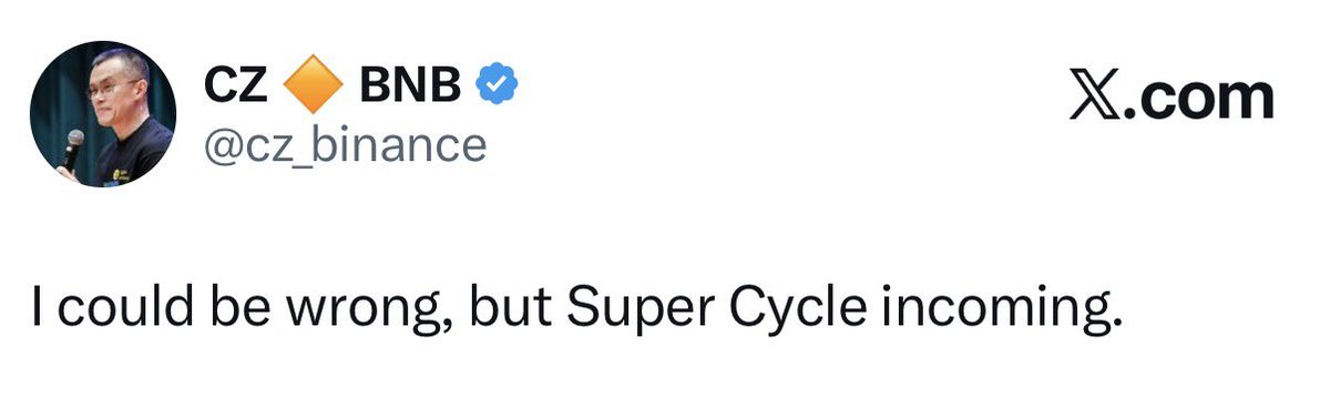 borovik tweet media
