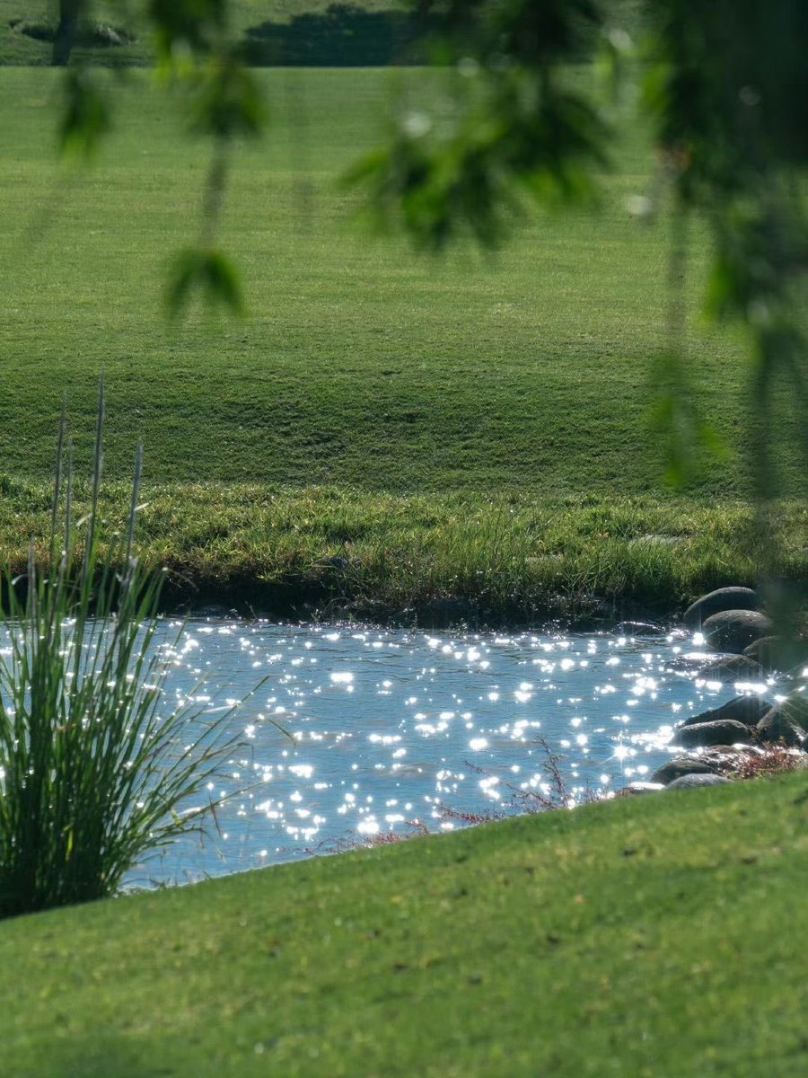 Girlstherapy222's tweet image. 