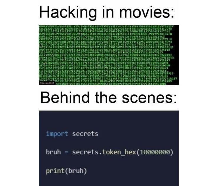 Coder girl 👩💻 tweet media
