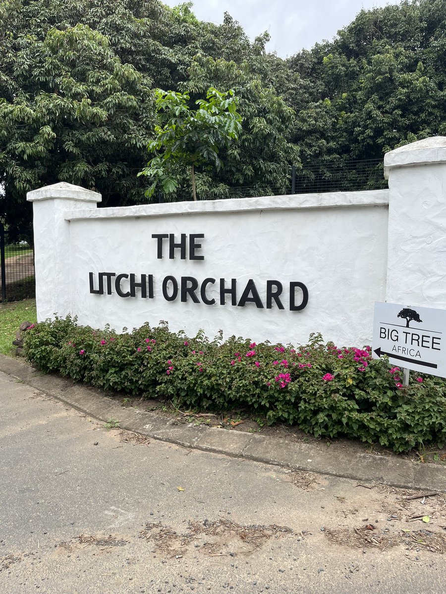 lancemathonsi's tweet image. When you get a chance from your busy schedule in 2026 , explore and connect with nature 🌿around you , you will thank me later 🙌🏿