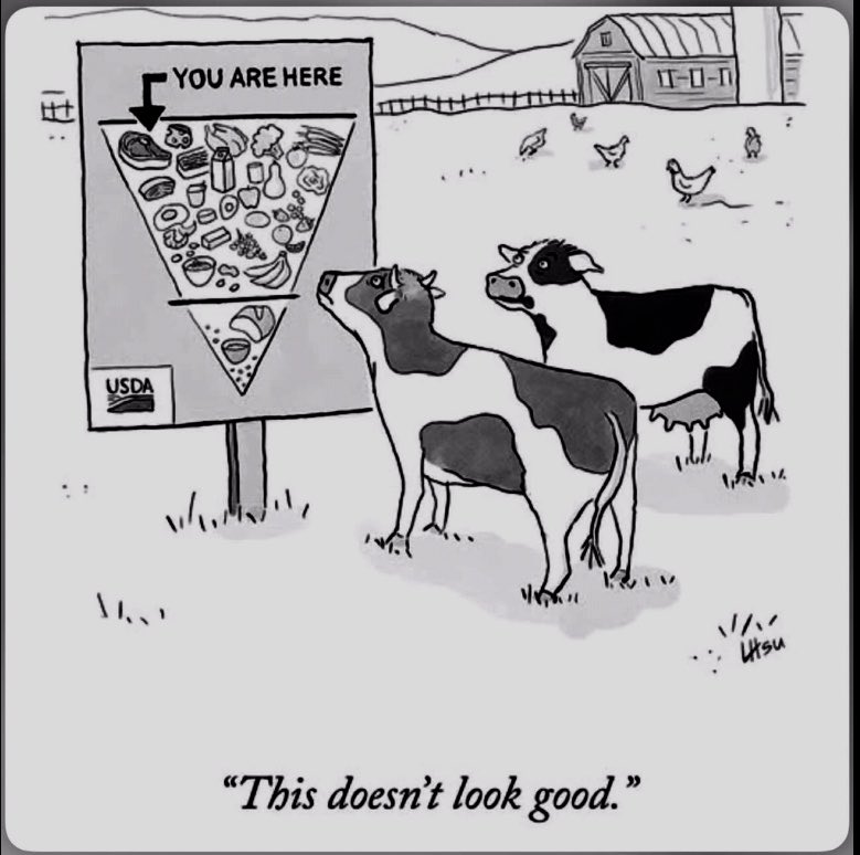 Jeffrey R. Stout tweet media