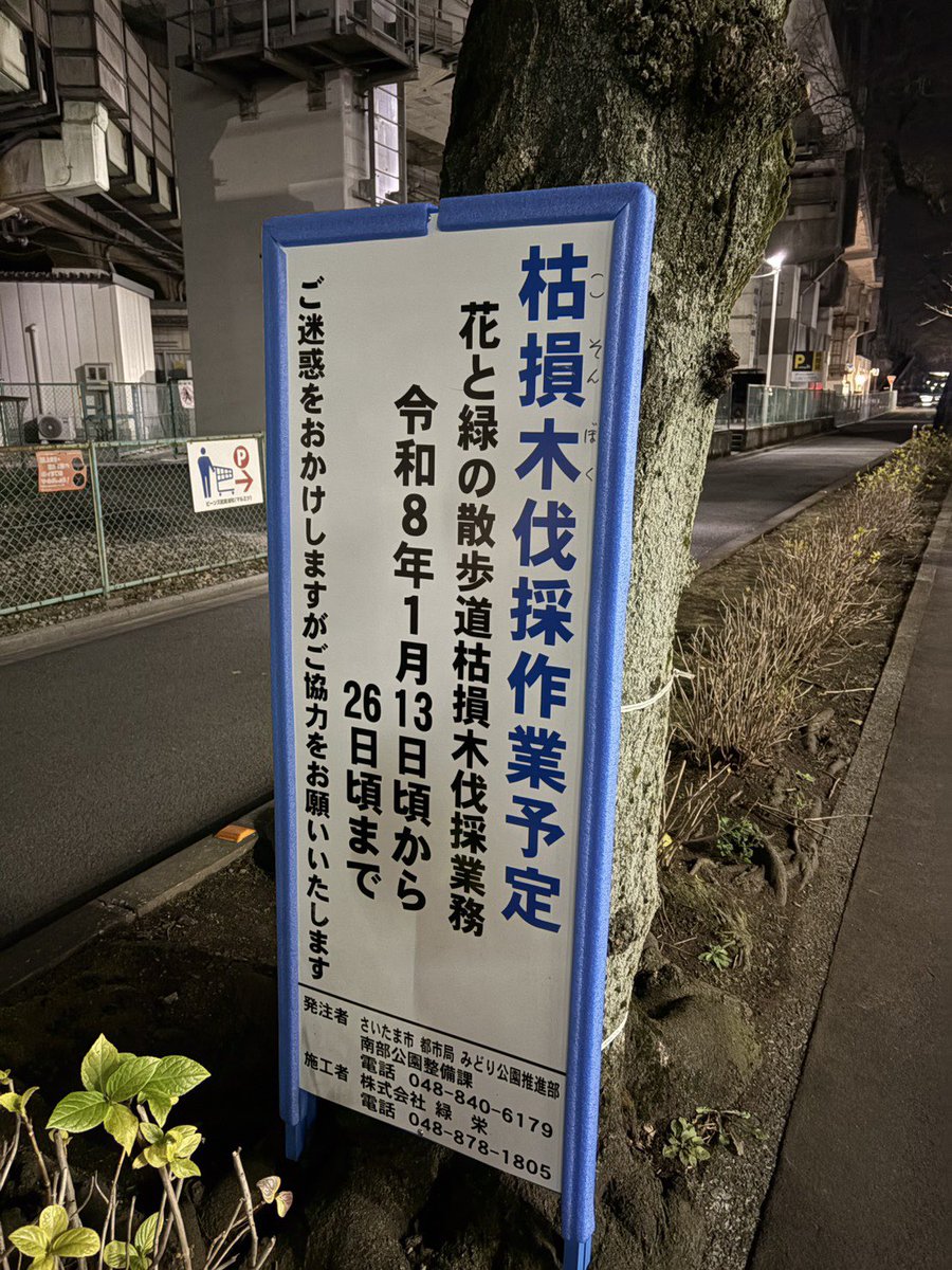 URAWA_LABO's tweet photo. 武蔵浦和駅前から別所沼公園まで続く「花と緑の散歩道」。
その一角で、枯損木伐採作業の予定しています。1/13(月)〜26(日)まで。
安全確保のためとはいえ、見慣れた景色が少し変わるのは寂しいですね… https://t.co/plxAKyWLUN