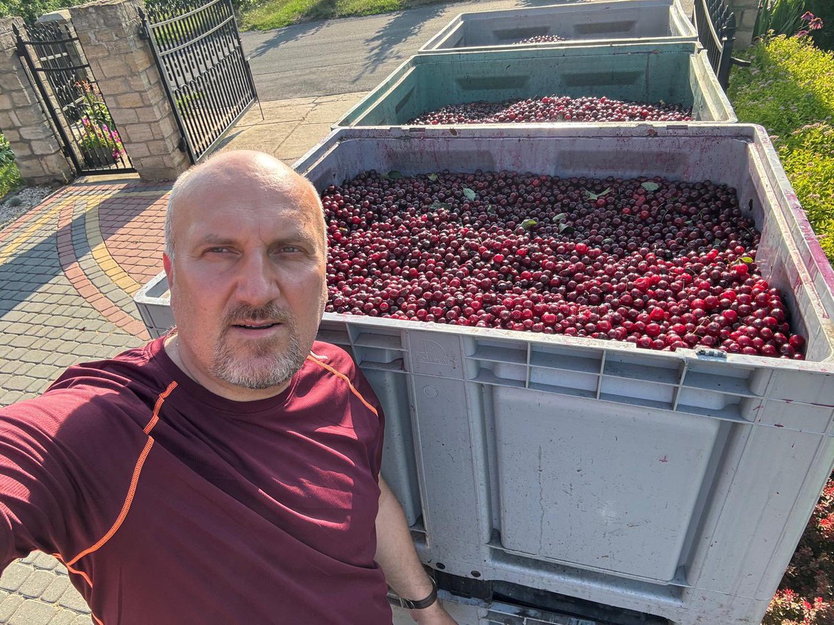 SochaGsocha's tweet photo. @Propeertys Wg PSL nie jestem rolnikiem, bo przecież mam „tylko” 4,5 ha drzew wiśniowych i rocznie zbieram około 30-40 ton wiśni. 
Tak, jestem sadownikiem, który nie utrzymuje się z gospodarstwa, ale kontynuuje rodzinną tradycję. https://t.co/Vgdp8M96k4