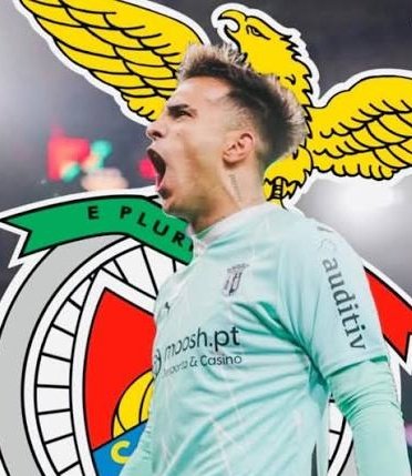 O Guerreiro da Luz tweet media