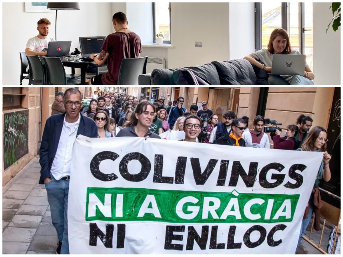 Irene Peiró Compains tweet media