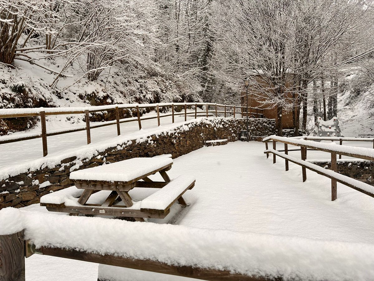 ecoviesgi's tweet image. ❄ Avui la Pirinexus a Molló s'ha llevat amb aquest paisatge nevat tan espectacular.

⚠️ Recordeu moderar la velocitat i extremar la prudència, especialment a les baixades. Amb neu, la calçada pot ser relliscosa i presentar trams amb gel. #EcoviesGi #Pirinexus #Neu