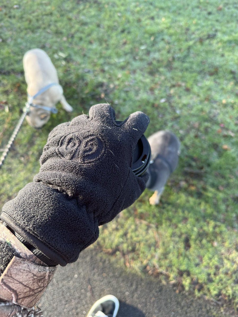 Anyone else end up with random merch from your hops..?
Bought these at a particularly cold Mainz game a few years back and never let me down