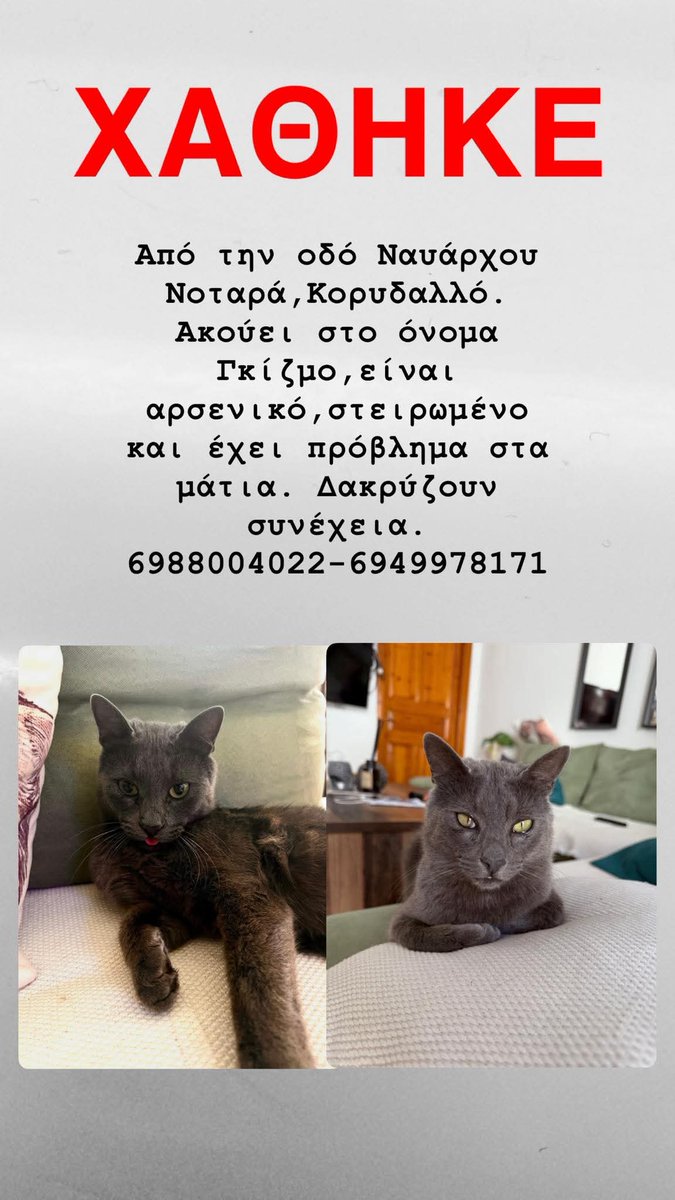 🆘️🆘️🆘️
Χάθηκε ο Γκιζμο απο την οδό Ναυάρχου Νοταρά Κορυδαλλό 
Στειρωμενος με πρόβλημα στα ματάκια δακρύζουν συνέχεια 
Για οποιαδήποτε πληροφορία καλέστε άμεσα στα τηλ
Rt 🙏 🙏 🙏