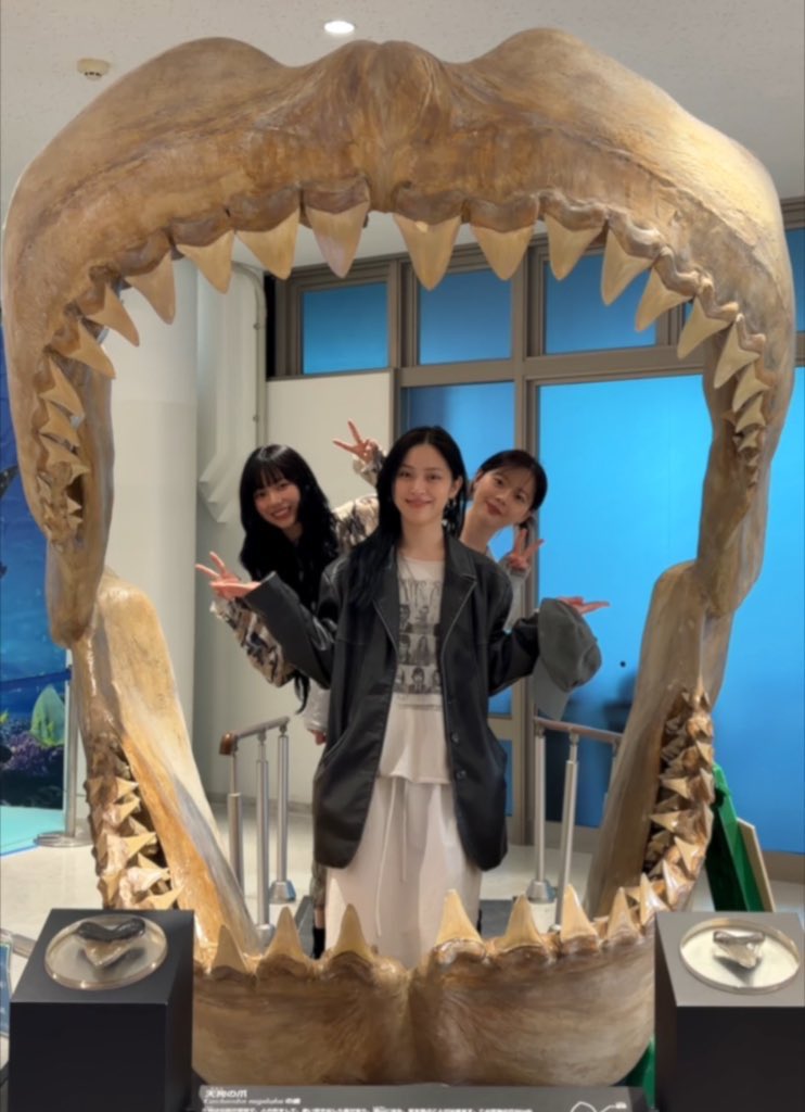 icurina's tweet image. u cant tell me this isnt the cutest thing ever like this is literally friendship goals