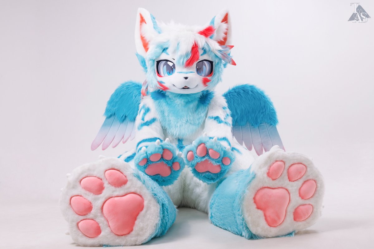 TAS兽化工作室 tweet media