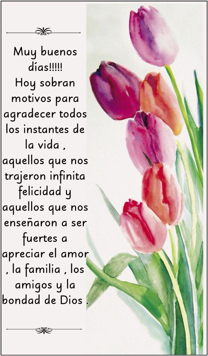 madmozu's tweet photo. #SabadoDeBendiciones https://t.co/19iHUG9yNa