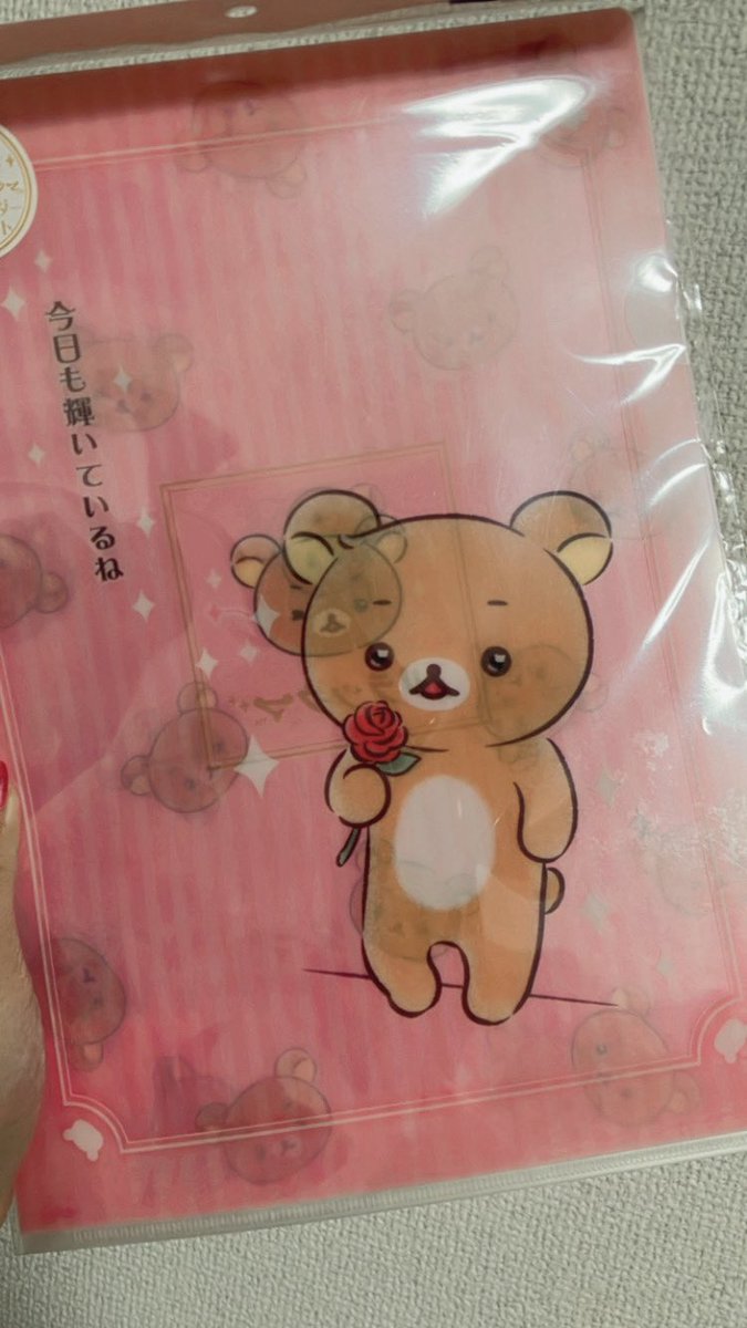 舘様すぎるリラックマのクリアファイルあって衝動で買った これ、は、なに？
