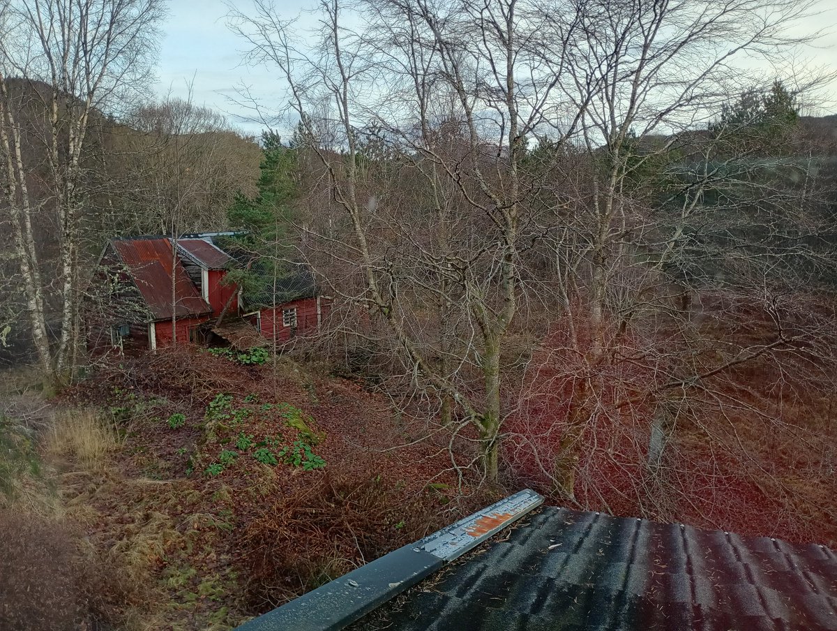 Necro Lizzy🇧🇻 tweet media