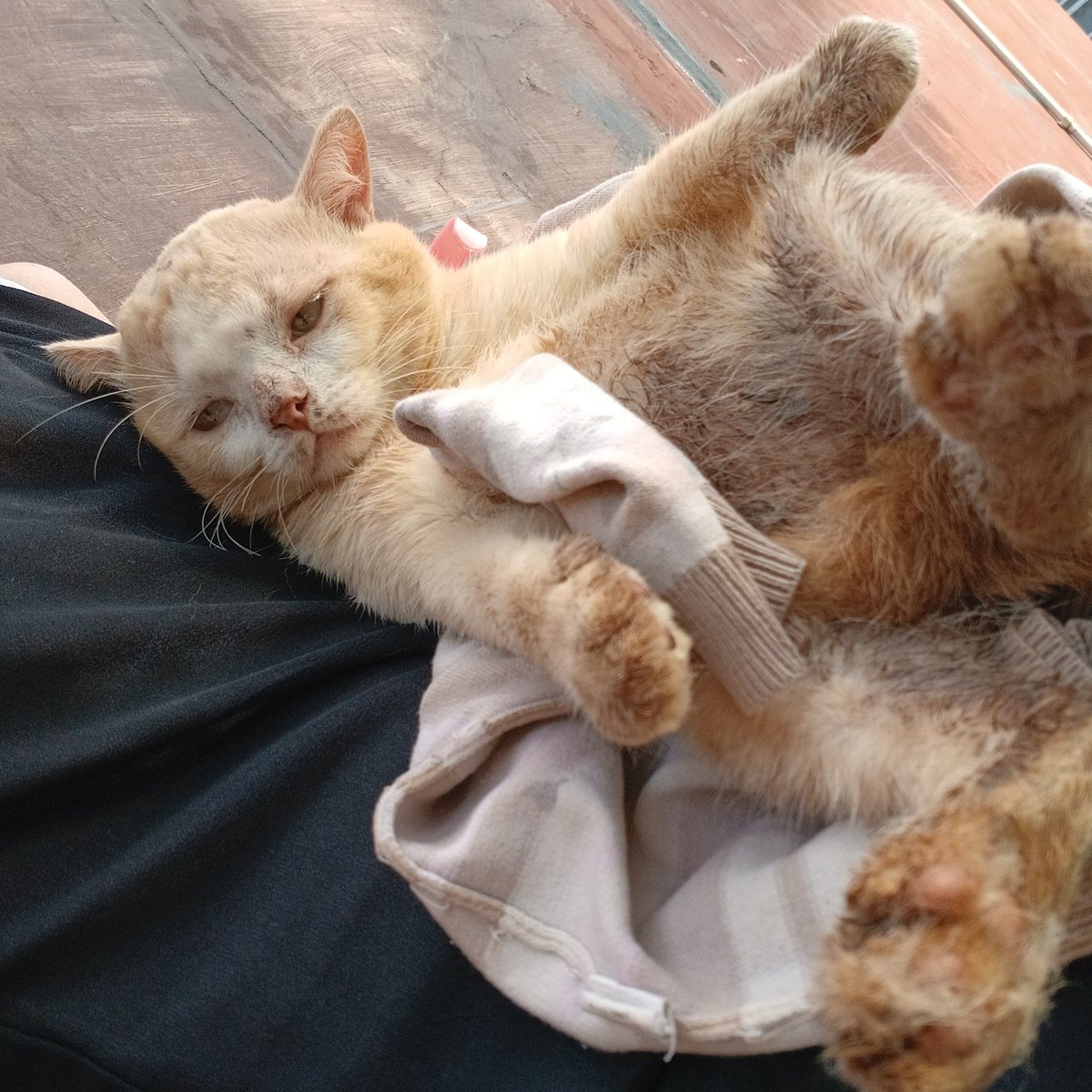 __chimichi's tweet image. awali awal tahun dengan nyemplung got