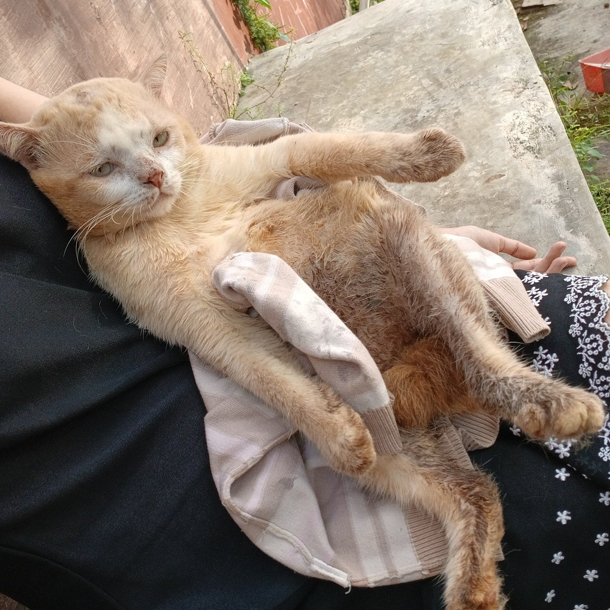 __chimichi's tweet image. awali awal tahun dengan nyemplung got