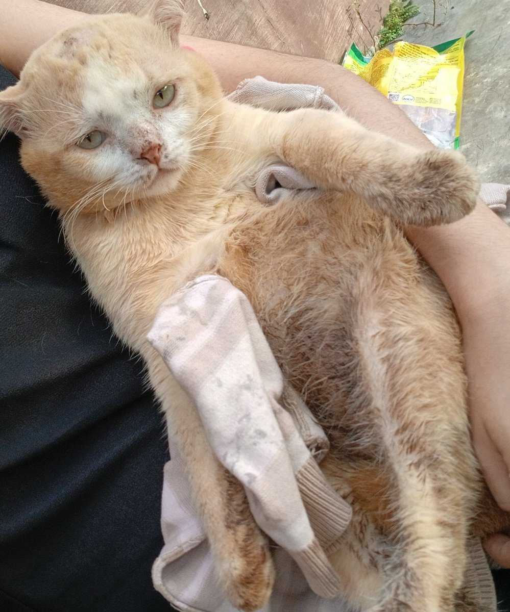 __chimichi's tweet image. awali awal tahun dengan nyemplung got