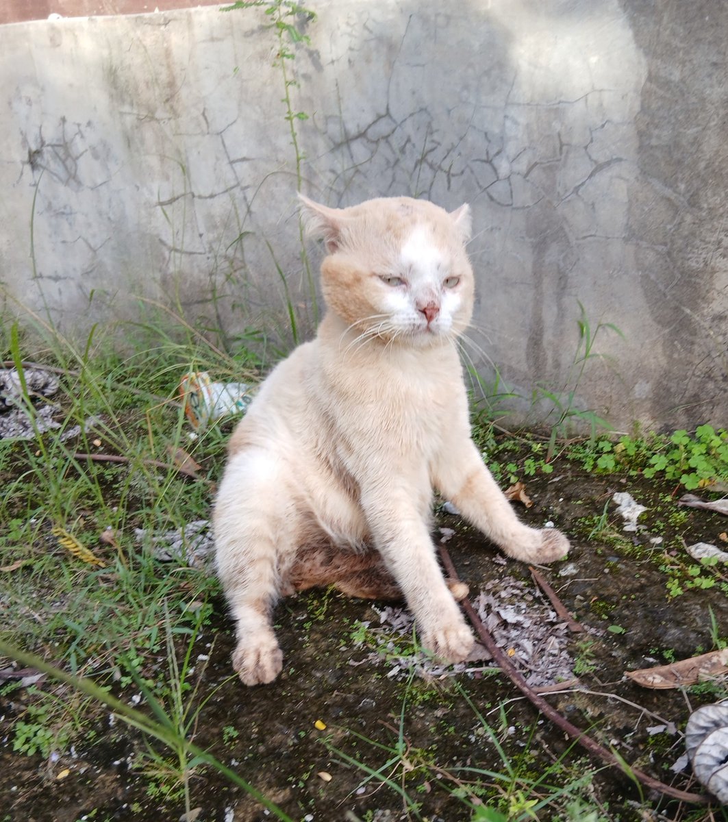 __chimichi's tweet image. awali awal tahun dengan nyemplung got