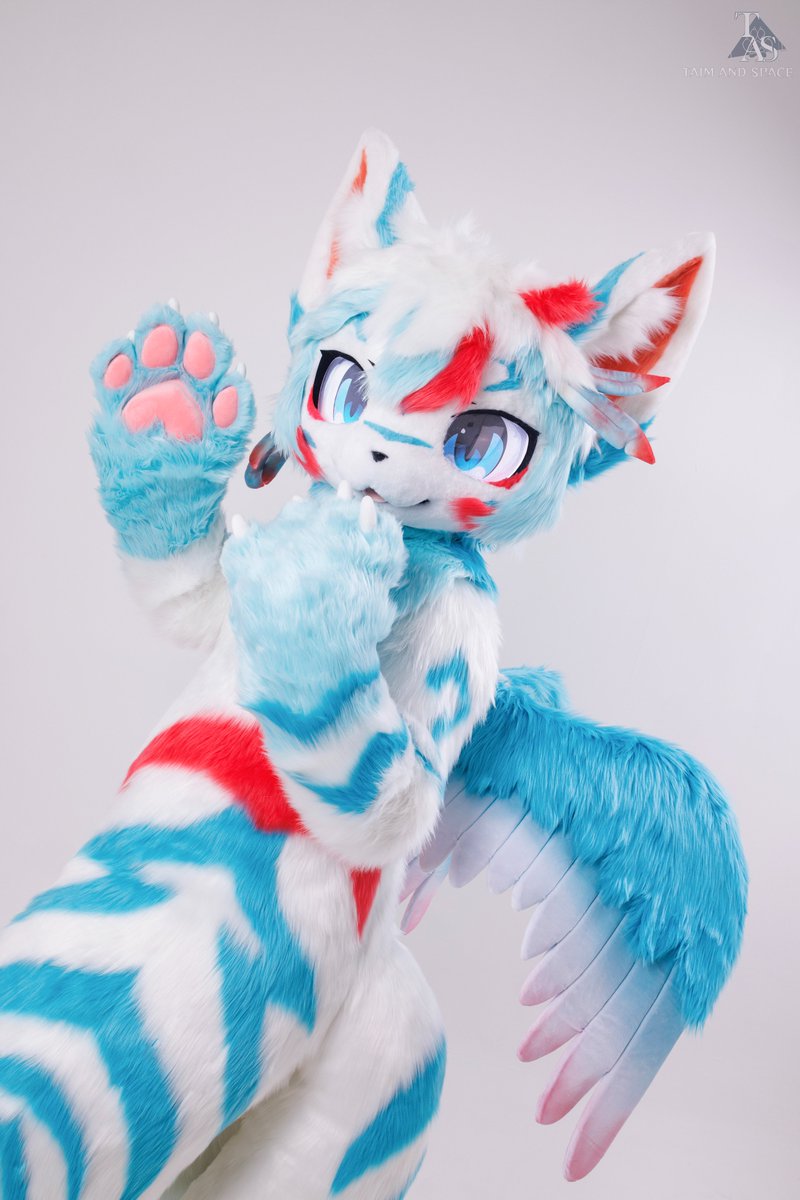 TAS兽化工作室 tweet media