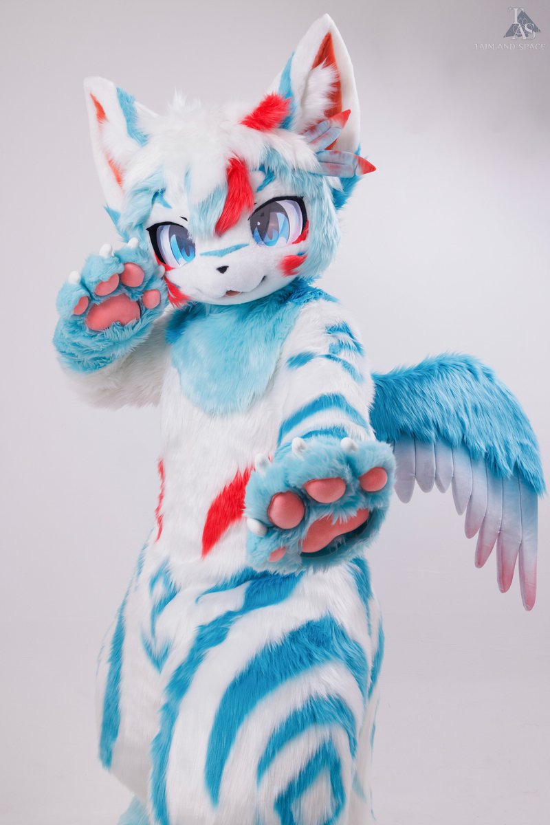 TAS兽化工作室 tweet media