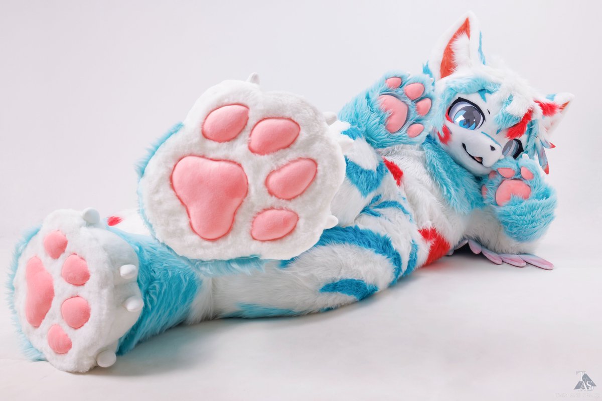 TAS兽化工作室 tweet media