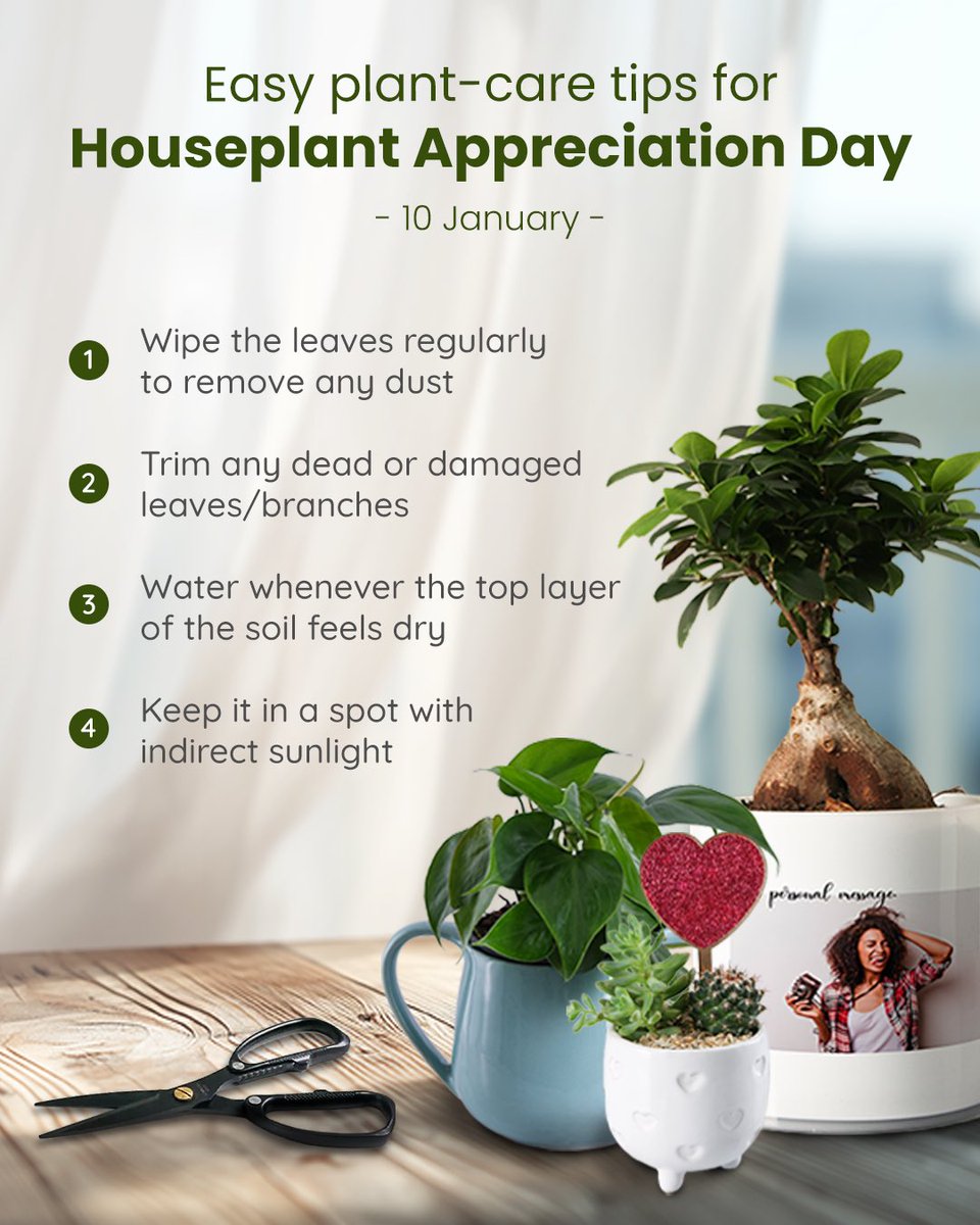 Netflorist tweet media