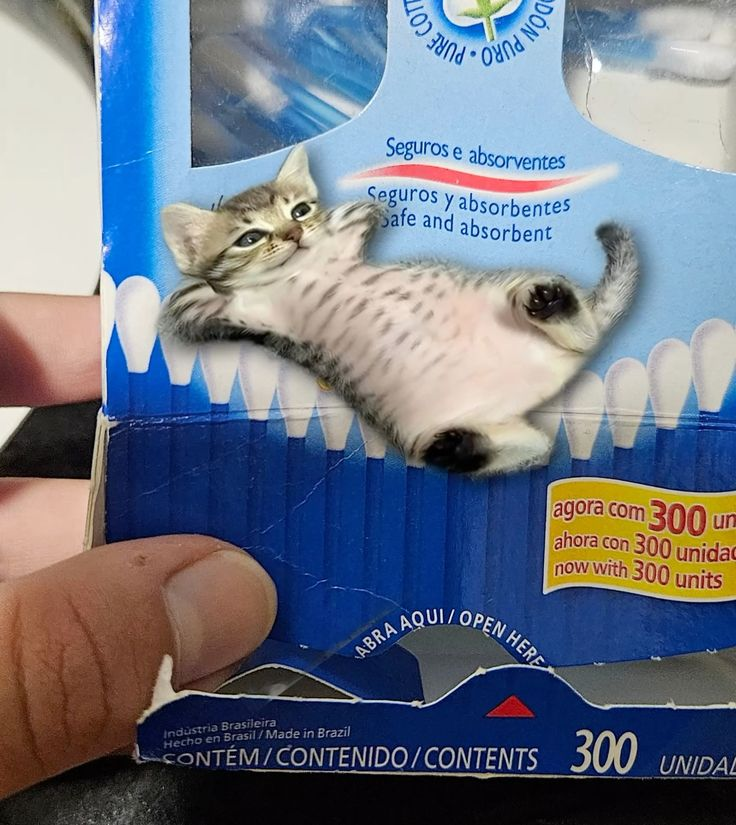 odeiootaco's tweet image. 