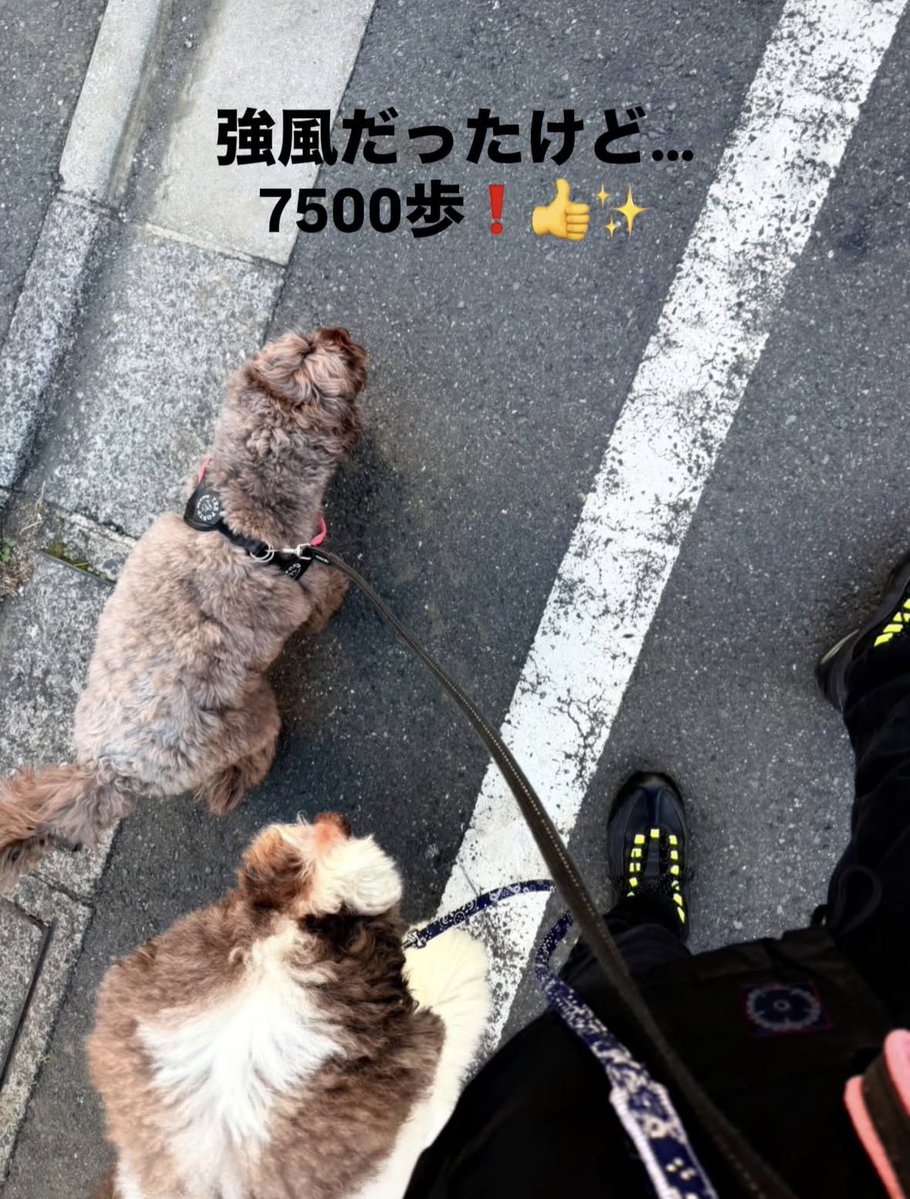 𝗺𝗺𝗺𝗦𝗻𝗲𝗮𝗸𝗲𝗿𝘀 ™︎ (@Mitsu_Aizawa) / Posts / X